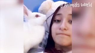 Funniest Animal Videos 2023 ???? - Best Funny Cats & Dogs Videos ????