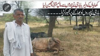 Kharian: Brave An Old Man Caught the Thieves