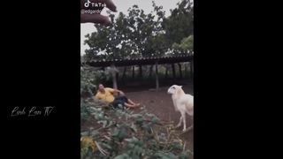 Compilation Des Moments Les Plus Drôles de l'année ???????????? #5 9