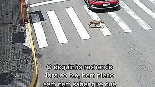 Atravessou na faixa.