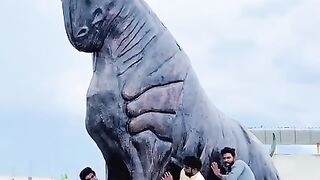 kizer omer funny videos
