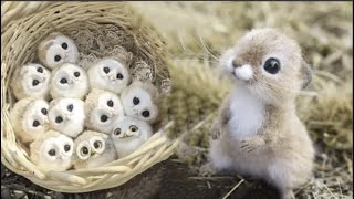baby Animals Vidéos Compilation cute moment of the animal !!!