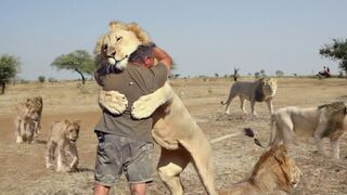15 Wild Animals That Saved Human Lives