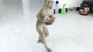 Vidéo 23