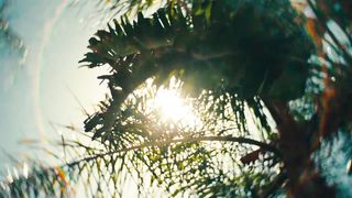 Akon - Enjoy That (Official Music Video)
