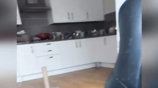 Funny animals. 2