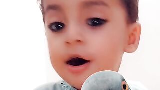 Pigeon Baby