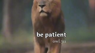 Better days are coming status