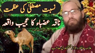 نسبت مصطفیٰ صلی اللہ علیہ وآلہ وسلم کی عظمت