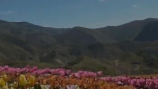 Beauty of nature 21