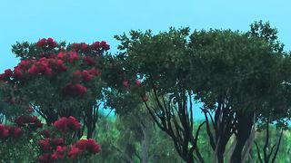 Funny Frogs Dance Animated Short Film | A Love Story of Funny Crazy Frogs