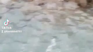 fun fishing????????????????