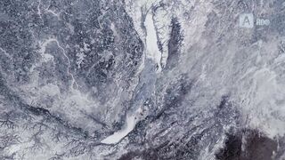 Озеро Байкал. Байкальская нерпа.