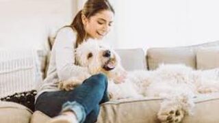 Bark at your Dog