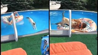 The Cat Accidentally Jumped Right into the Pool