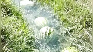 Stream with Watermelons