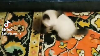 Маленький шпион