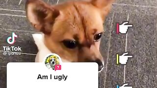 ????????????????