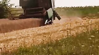 Daje czadu