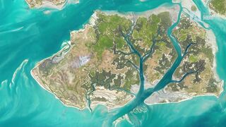 Из космоса видно, как вода буквально рисует ландшафт. Дельта Окаванго. Африка.