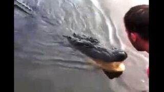 Wow...