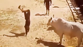 Video very funny