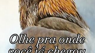 Motivação diária. Inscreva se 47