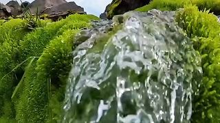Natural view 4