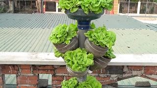 DIY_Self_Watering_Garden__Grow_Clean_Vegetables