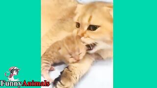 mothers love