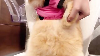 Now his dancing ????