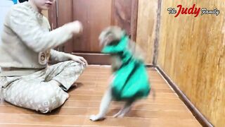 Vidéo 26