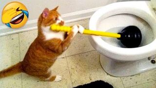 Funniest Animals 2023 - Best Funny Cats and Dogs
