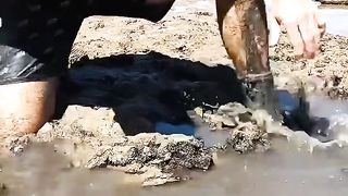 watch crab