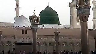 Video 78
