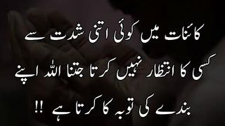 quotes channel 54
