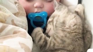 ???? Who needs CAT videos? We've got the BEST of them all! ????
