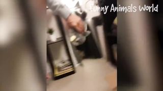 Funny Dogs And Cats Videos 2023 ???????? - Best Animal Videos Of The Month ???? #3 3