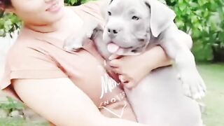 Funny dog 17