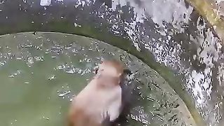 The most HEARTWARMING you've ever seen❤️