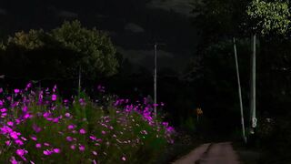 Beautiful Nature video #short_video #viral