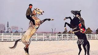 #horse#best#scene#best#momint of hors#top #action 2