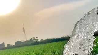 To irrigate the fields