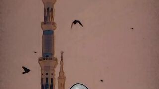 Kubsoorat ourat