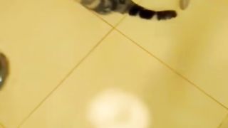 Funny Cats and Dogs Videos #animals #viral #pet