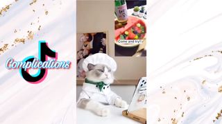 that little puff Tik tok compilation