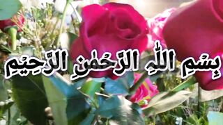 Tilawat e Quran pak | Urdu Tarjuma ke sath