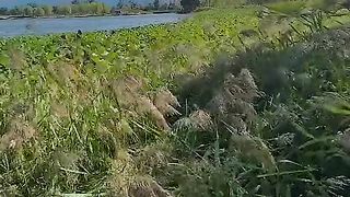 Natural veiw 2