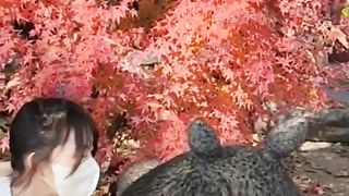 I met Totoro???? Do you like Totoro? #totoro #anime #japan #totoro #travel #shorts