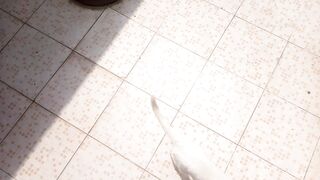 Poor homeless hungry cat and Dog asking for some Food and Humen's kindness